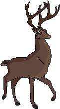 BuckColored_1_1_1_1_1_1_1_1_1_1.gif