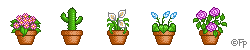 blommor_1_1_1_1_1_1_1_1_1_1_1.gif