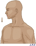 LAEmportrait2_1_1_1_1_1_1_1_1_1_1_1.gif