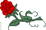 rose_pixel_hez_1_1_1_1_1_1_1_1_1_1_1.gif