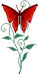 alg_butterfly_1_1_1_1_1_1_1_1_1_1_1.gif