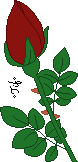 rose1_1_1_1_1_1_1_1_1_1_1.gif
