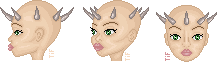 taurhorns02lt_1_1_1_1_1_1_1.gif