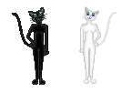 cattaila01_1_1_1_1_1_1_1_1_1_1_1.gif