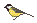 mesange_1_1_1_1_1_1_1.gif