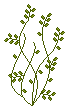 plante_1_1_1_1_1_1_1.gif