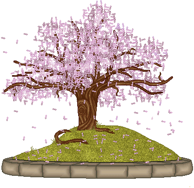 sakura_1_1_1_1_1_1_1.gif
