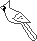 outlinecardinal_jersey_1_1_1_1_1_1_1_1_1_1_1.gif